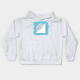 The Hippo Theorem Kids Hoodie